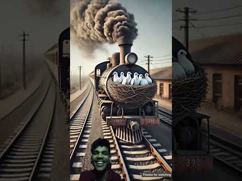 #ai #defenceacademy #cat #comedy #comedymemes #ekmotahathighumechala #funny #gatinhosfofos