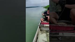 Daily Line Fishing in river at home #fishing #fishingvideo #linefishing #fishingtips