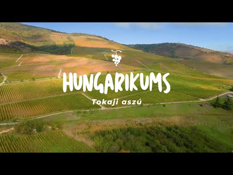 Hungarikums -Tokaji aszú