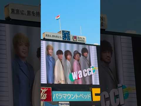 2025 #神宮外苑花火大会 #神宮球場 全国ホールツアー開催wacci Hall Tour 2025-2026 憧憬チケット一般発売中#wacci #恋だろ