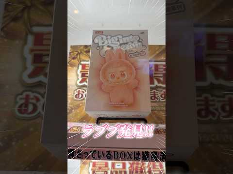【大当たり?!】ラブブの2000円ガチャで1万円チャレンジした結果www #shorts #labubu #popmart