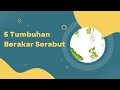 Akar dan Sistem Perakaran Tanaman