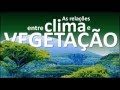 Adaptações das Plantas em Biomas
