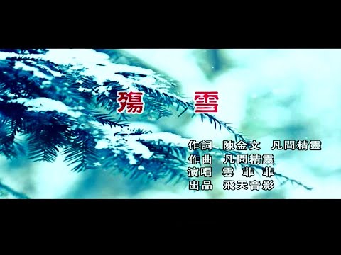殤雪-雲菲菲-主唱 KARAOKE