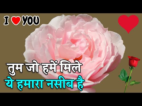 तुम जो हमें मिले ये हमारा नसीब है | Love Shayari In Hindi | Hindi Shayari Video