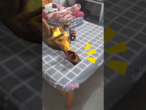 Dinosaurs caught partying🥵 ll Carriage House wooden artist ll #cartoon #shortvideoshortvideo