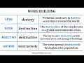 Word Forms and Their Functions