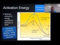 Chemical Reaction Rates and Factors