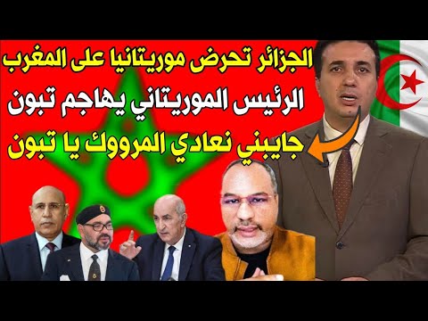 #الاعلام_الجزائري يهاجم عبد المجيد تبون كل الدول نجد فيها إستتمارات مغربية وموريتانيا تصدم الجزائر