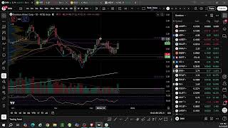 You look as I look   URA URNM URNJ CCJ DNN and more