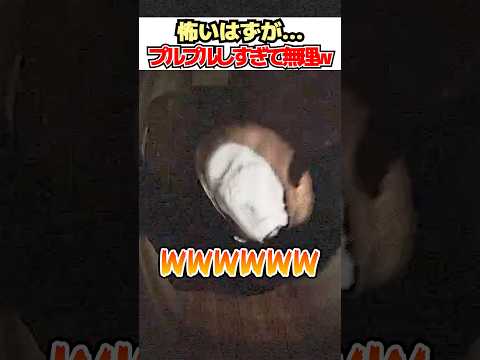 thumbnail_rMAUC0r25Yg