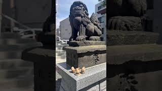 今外国人に人気がある札幌のスポット/札幌諏訪神社