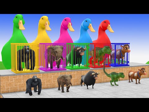 Long Slide Game With Elephant Gorilla Buffalo Hippopotamus Tiger 3d Animal Game Funny 3d Animals2