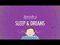 Understanding Sleep and Dreams