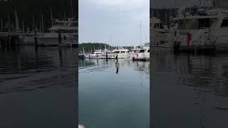 Dock Start Friday Harbor