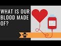 Understanding Blood Components