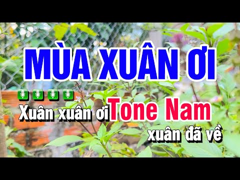 Karaoke Mùa Xuân Ơi Nhạc Sống Tone Nam Cm | Beat Huỳnh Anh