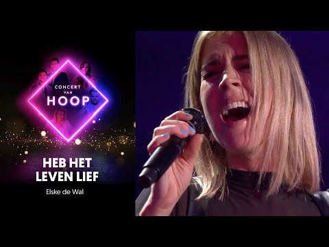 "Heb het leven lief!' Daarmee opende Elske DeWall het Concert van hoop, live in Ahoy. Andere artiesten op die avond waren Maan, Miss Montreal, Roel van Velzen, André Hazes Jr., Nick & Simon en Trijntje Oosterhuis. Allen werden begeleid door het waanzinnige Metropole Orkest.