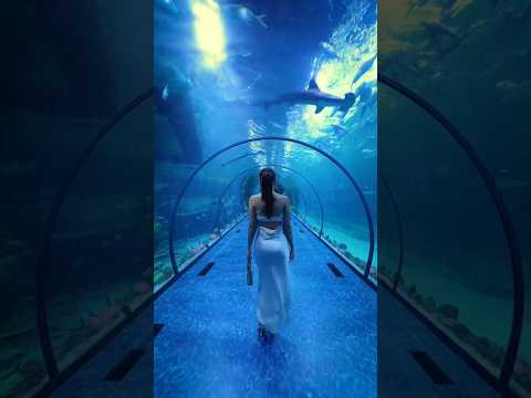 Beautiful places on earth 🌎 that don't feel real  #beautifulplaces #worldattractions #naturebeauty