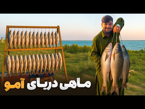 لقمه - طعم بیادماندنی ماهی دریای آمو در بندر حیرتان