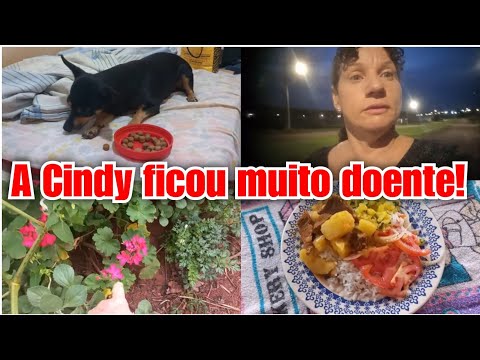 DEUS FAZ GRANDES COISAS + ELE É IDÊNTICO AO CHARLIE! Vlog ❤️