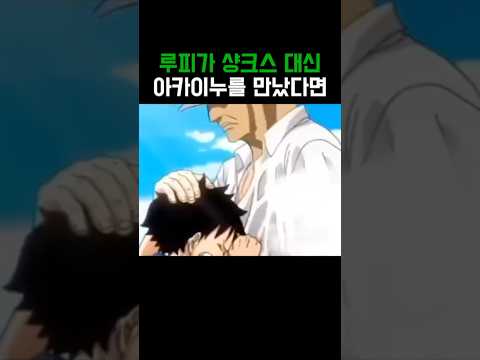 원피스)샹크스 대신 아카이누를 만난 루피