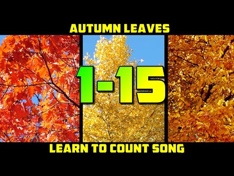 LEARN TO COUNT 1-15 SONG | Autumn counting song for kids - YouTube