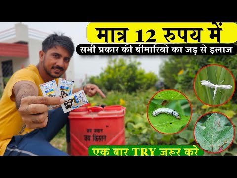 क्या 12 ₹ का शैम्पू है मिलीबग और चेपा जैसी बीमारियों का रामबाण ॥ Shampoo Spray in Farming