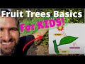 Tree Biology and Fruit Characteristics
