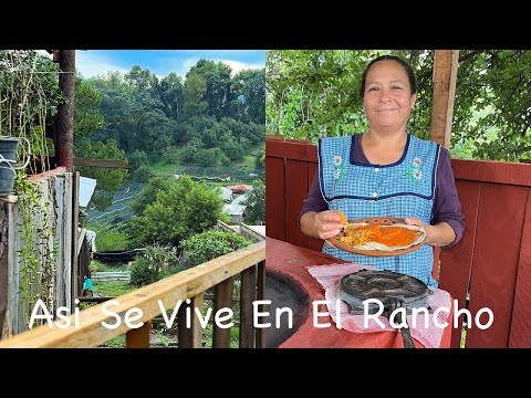 Como Hacer Tortitas De Nopales Con Queso, Asi Se Vive En El Rancho