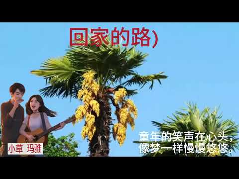 回家的路