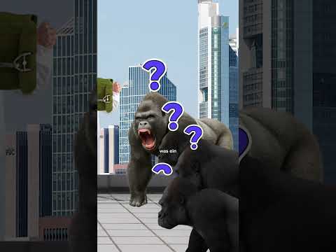 100 Gorillas vs. 1 Mann