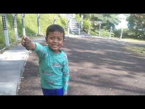 Mumtaaz Vlog sedang live sekarang! Swimming Pool