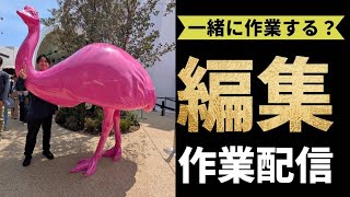 動画サムネイル