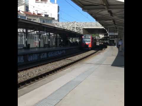 CP 3500 arriving at Sete Rios station #cp3500 #trains #subscribe #views #railway #shorts