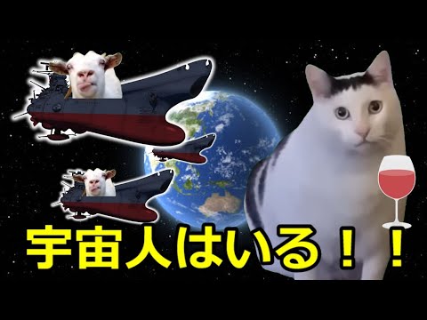 【猫ミーム】宇宙人の機密情報を知った占い師！！