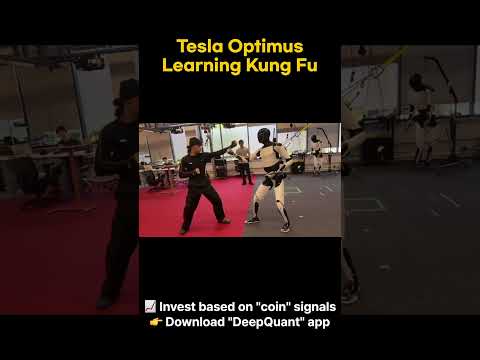 Tesla Optimus Learning Kung Fu