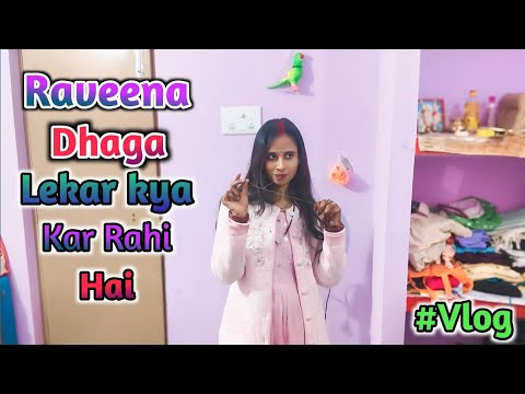 Raveena dhaga lekar kya kar rhi hai / Vinay Raveena Mini Vlogs