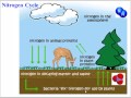 Chemical Cycles and Processes in Biology