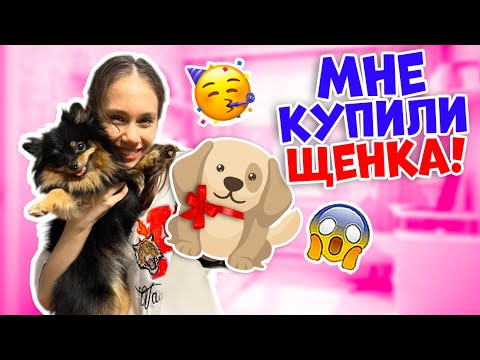 Ксюше КУПИЛИ👉 ЩЕНКА ... Влог