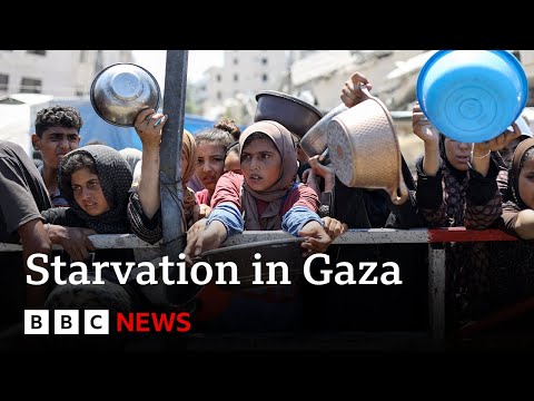 Gaza faces 'man-made mass starvation’, says WHO chief | BBC News