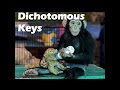 Dichotomous Keys and Classification