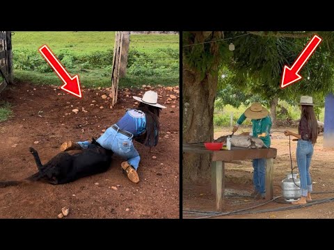 ABATEMOS O PORCO DA BRABEZA, E CAI POR CIMA DA OVELHA 😱