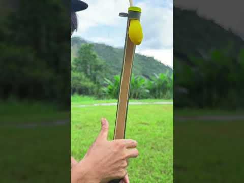 Let's play with a homemade bamboo bow and arrow. The results are surprisingly accurate! 🐓😱❤️ #shorts