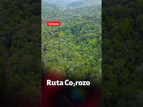 Así es la ruta COROZO: donde conservar también genera oportunidades