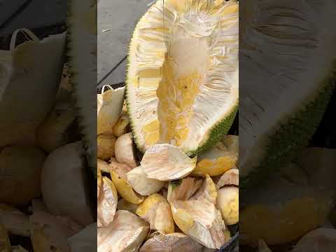 OMG Jackfruit 😱
