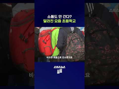 소풍 가는 날이 제일 좋았는데... 달라진 요즘 학교 풍경 #현장체험학습 #shorts #스브스뉴스