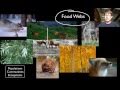 Ecosystem Interactions and Dynamics
