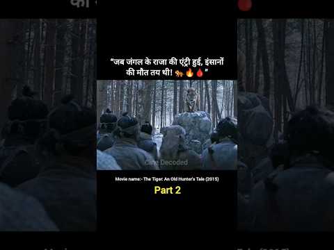 One-Eyed Tiger Ka Jungle Badla | Tiger Attack in Hindi 🐅🩸