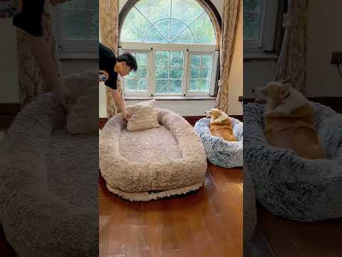 Man Sleeping With Dog 😴 #amazing #animals #dog #tiktok #sleep